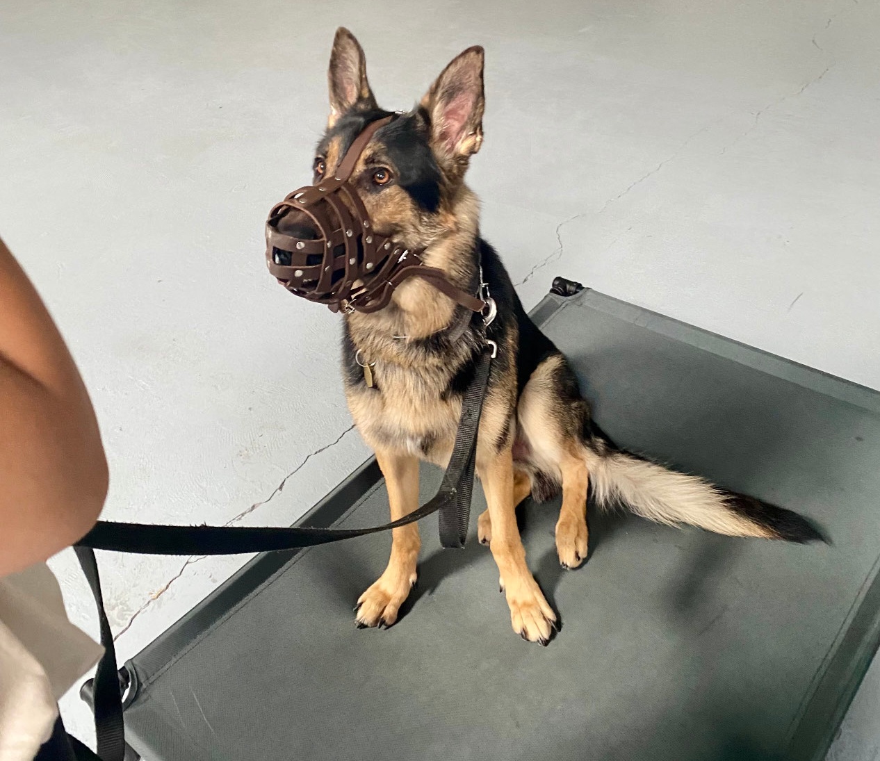 Services Copilot Academy